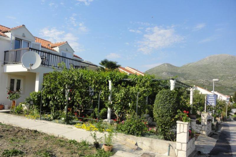 Guest House Pavkovic Slano Extérieur photo