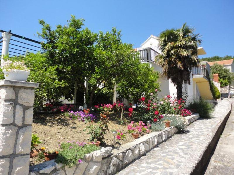 Guest House Pavkovic Slano Extérieur photo